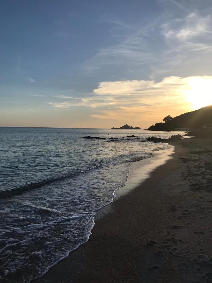Magnifique Villa Recente Entre Mer Et Montagne Situee Entre Ajaccio Et Porticcio Cauro Exteriör bild