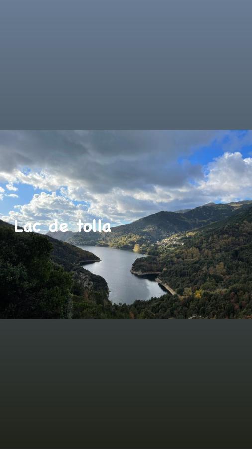 Magnifique Villa Recente Entre Mer Et Montagne Situee Entre Ajaccio Et Porticcio Cauro Exteriör bild