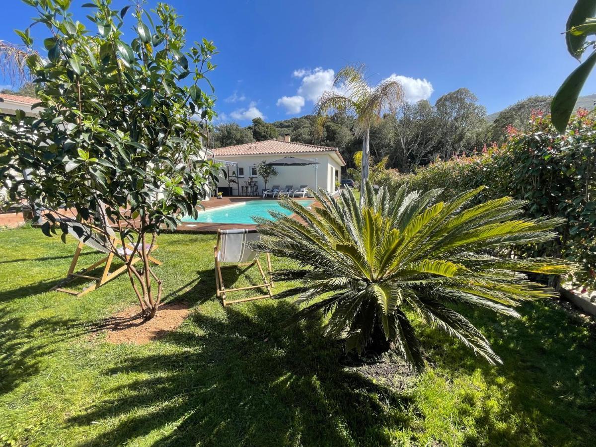 Magnifique Villa Recente Entre Mer Et Montagne Situee Entre Ajaccio Et Porticcio Cauro Exteriör bild